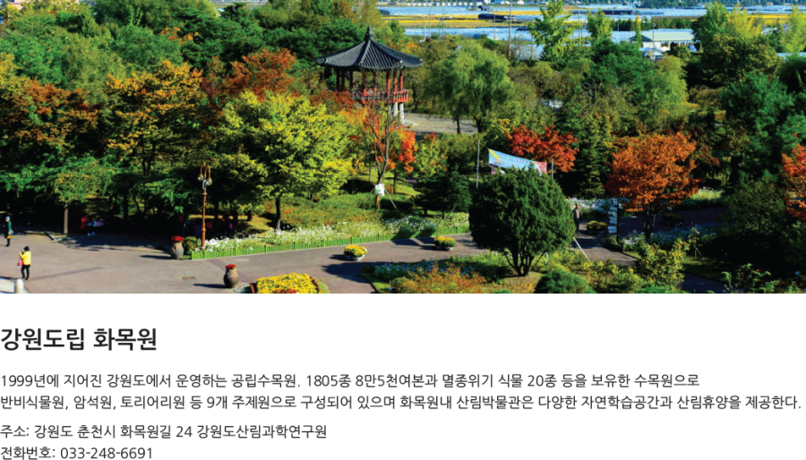 a980ac45dbc19eeef98d40c600188815_1497925463_8764.png